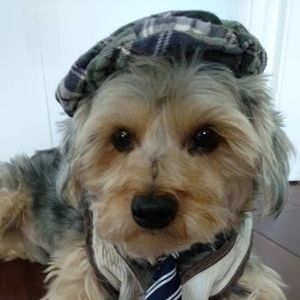 Meet your Posher, Sandra